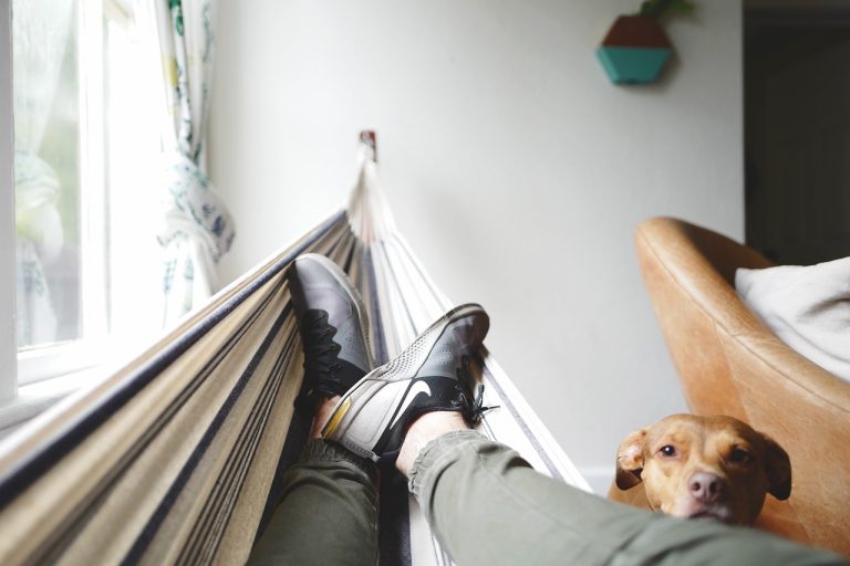 Hammock