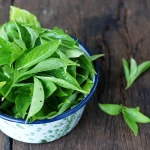 Daun kemangi