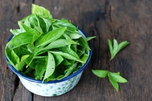 Daun kemangi