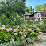 taman kecil di rumah