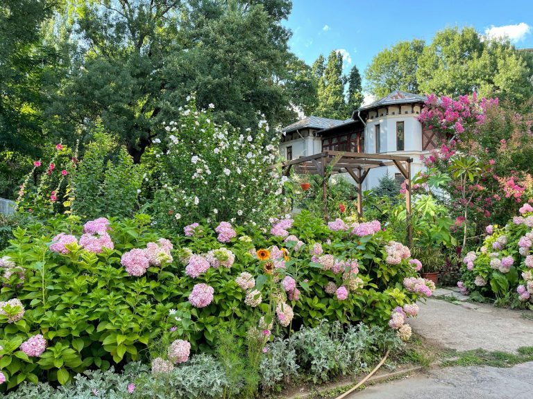 taman kecil di rumah