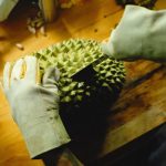 Tips mengupas durian