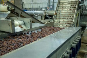 Conveyor